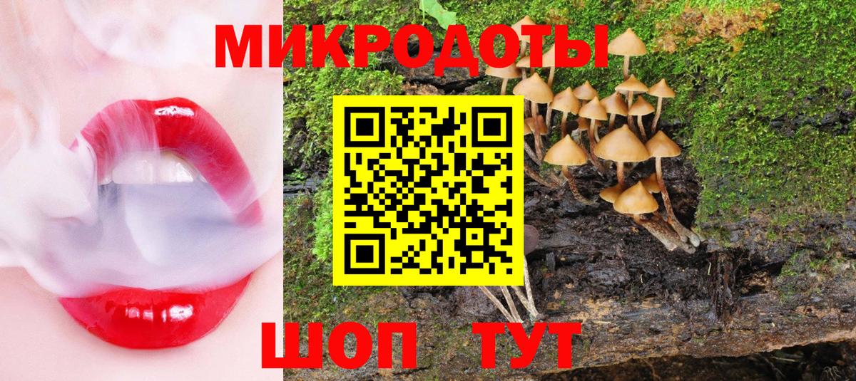 Галлюциногенные грибы MAGIC MUSHROOMS Санкт-Петербург